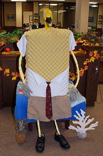 Sponge Goose Image